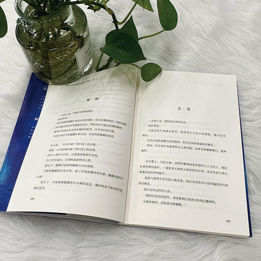 忧伤不过是两座花园间的一堵墙   纪伯伦 (黎巴嫩) 商品图4