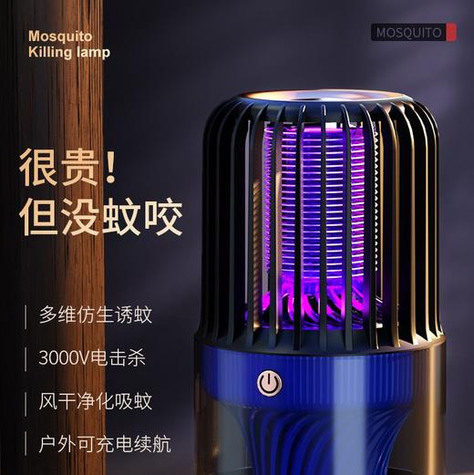 2023新款电击灭蚊灯USB充电式灭蚊器室内户外静音便携吸入式驱蚊 商品图1