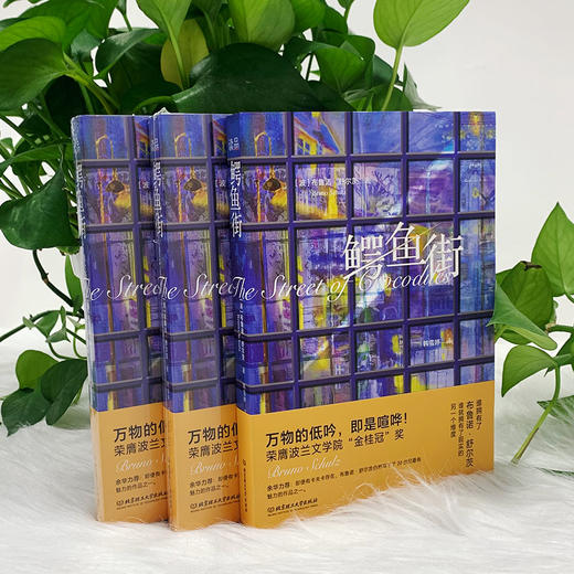 鳄鱼街    布鲁诺·舒尔茨著(波) 商品图5