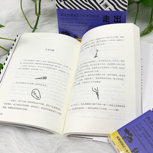 走出非洲 商品图3