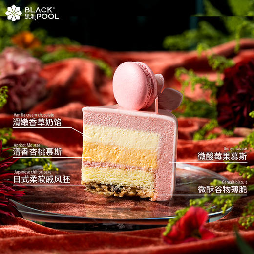（此链接仅限14号配送）母亲节提前购福利~芳华·香草杏桃莓果慕斯（粉） 商品图3