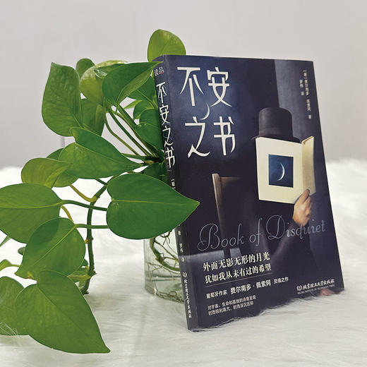 不安之书    费尔南多·佩索阿 （葡） 商品图3