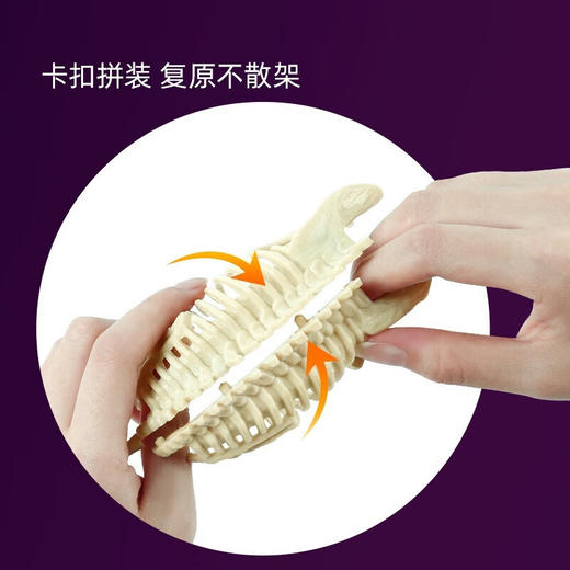 奥光玩具160003中生代超级恐龙化石挖掘套装 商品图5