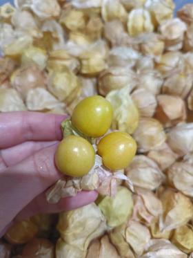 XZG-姑娘果（脆甜清香） 250g/盒～15元