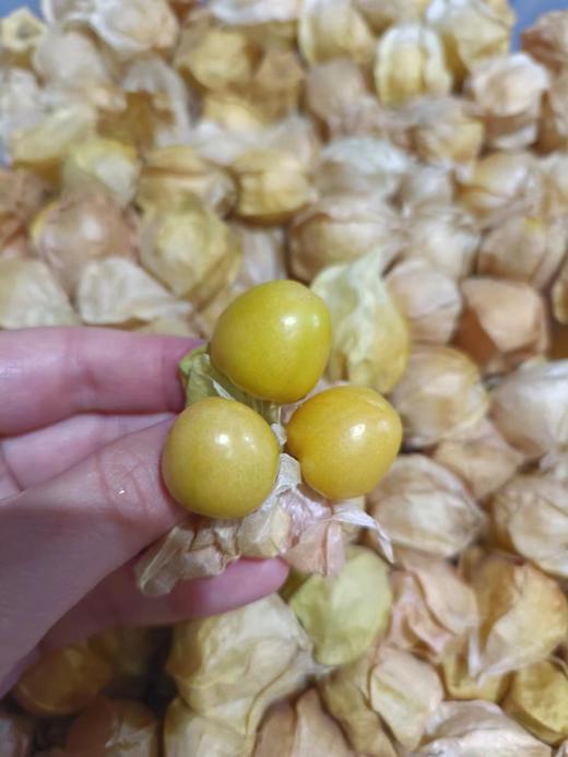 XZG-姑娘果（脆甜清香） 250g/盒～15元 商品图0