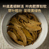 2021年德丰昌【金瓜贡茶】普洱生茶散茶1千克/盒 商品缩略图5