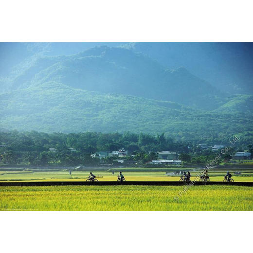 漫游田野趣/520片 商品图0