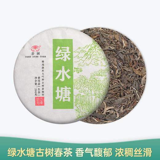 【会员日直播】绿水塘 2023年普洱生茶 200g/饼 买一送一 买二送三 商品图0