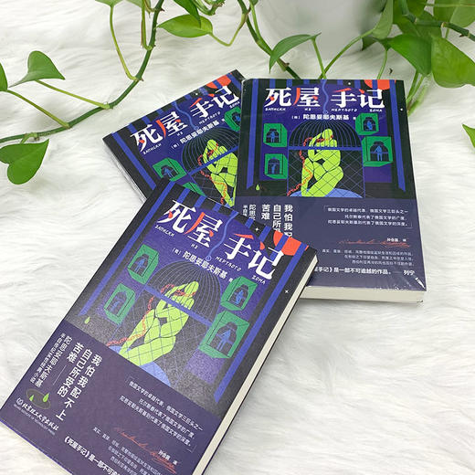 死屋手记    陀思妥耶夫斯基(俄罗斯) 商品图3
