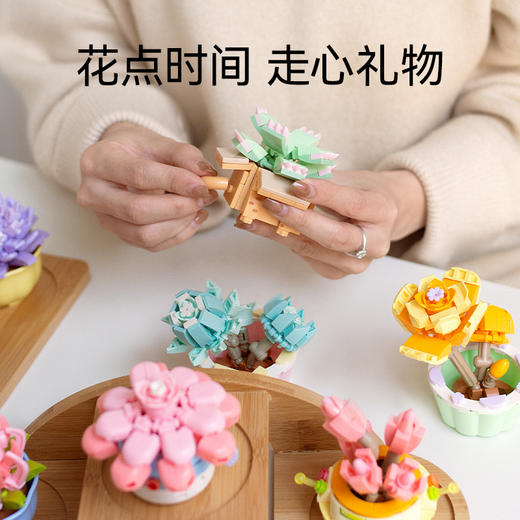 森宝积木多肉植物盆栽积木花摆件益智拼装玩具女孩礼物 商品图3