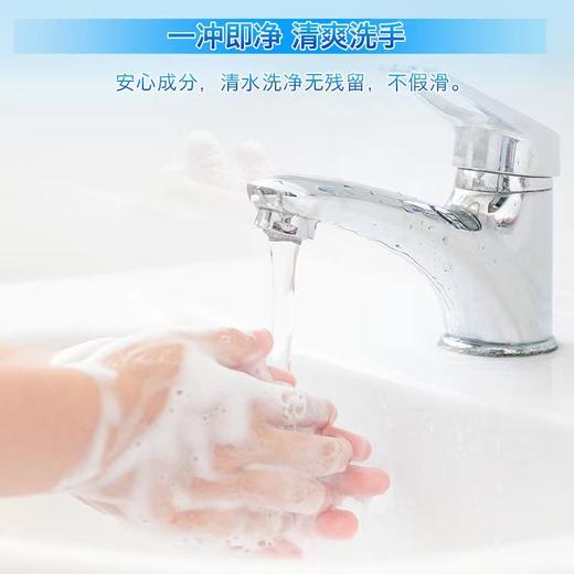15款洗手液测评推荐一绿伞抗菌泡沫洗手液  非常温和 花香/芦荟香双重选择 商品图3