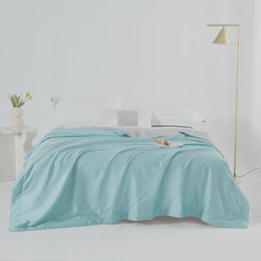 【优质夏被推荐】臻选纯蚕丝夏被 商品图0