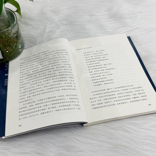 自深深处   奥斯卡·王尔德 (英) 商品图3