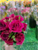 红丝绒玫瑰花束（拼团） 商品缩略图4