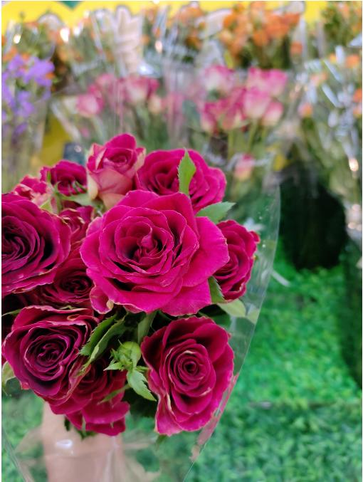 红丝绒玫瑰花束（拼团） 商品图4