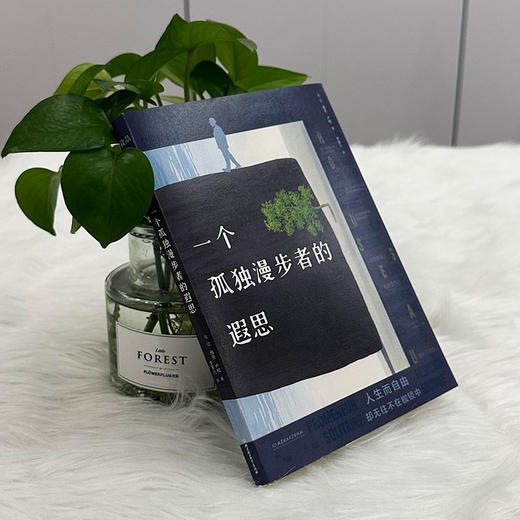 一个孤独漫步者的遐思   让-雅克·卢梭 (法) 商品图2