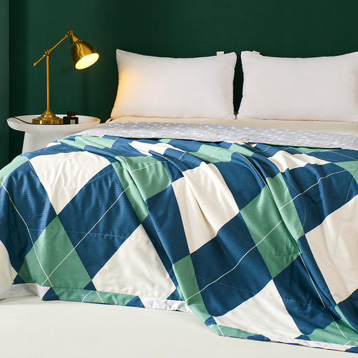 啄木鸟 全棉印花里外全棉棉花夏被 商品图1