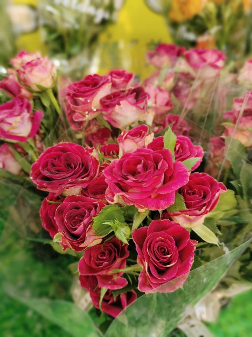 红丝绒玫瑰花束（拼团） 商品图0