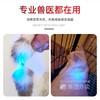 伍德氏灯照猫藓灯宠物真菌检测手电筒荧光紫光灯USB充电式1个 商品缩略图3