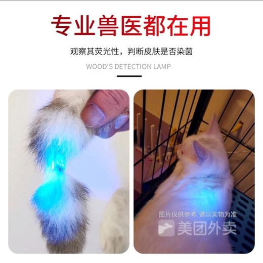 伍德氏灯照猫藓灯宠物真菌检测手电筒荧光紫光灯USB充电式1个 商品图3