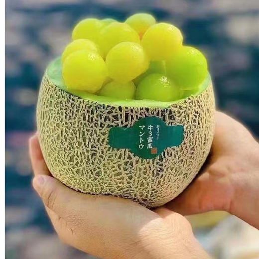 奶香蜜瓜（个） 商品图1