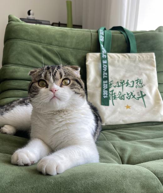 【创意飘带帆布包哨位原创】丢掉幻想准备战斗单肩包手拎包飘带创意款有开口拉链有内袋y 商品图8