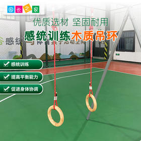 木质吊环秋千组儿童感统康复训练器材悬挂吊缆教具配件家用悬吊器
