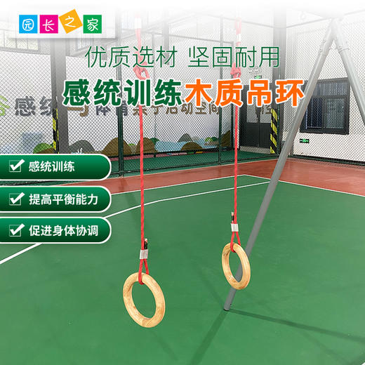 木质吊环秋千组儿童感统康复训练器材悬挂吊缆教具配件家用悬吊器 商品图0