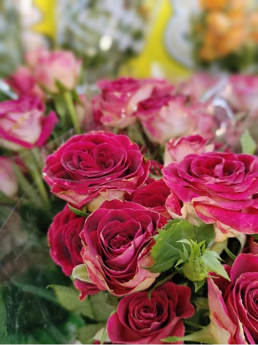 红丝绒玫瑰花束（拼团） 商品图1