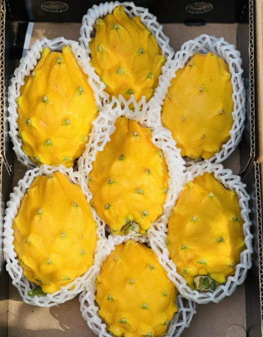 厄瓜多尔原产麒麟果 | 🌼金黄色的外衣， 一看就想尝一口~果肉嫩得跟燕窝似的滑溜滑溜的，甜度刚刚好，吃完一口还想再来一口，根本停不下来～～简直就像是把奢华甜品含在了嘴里❤️❤️ 商品图7