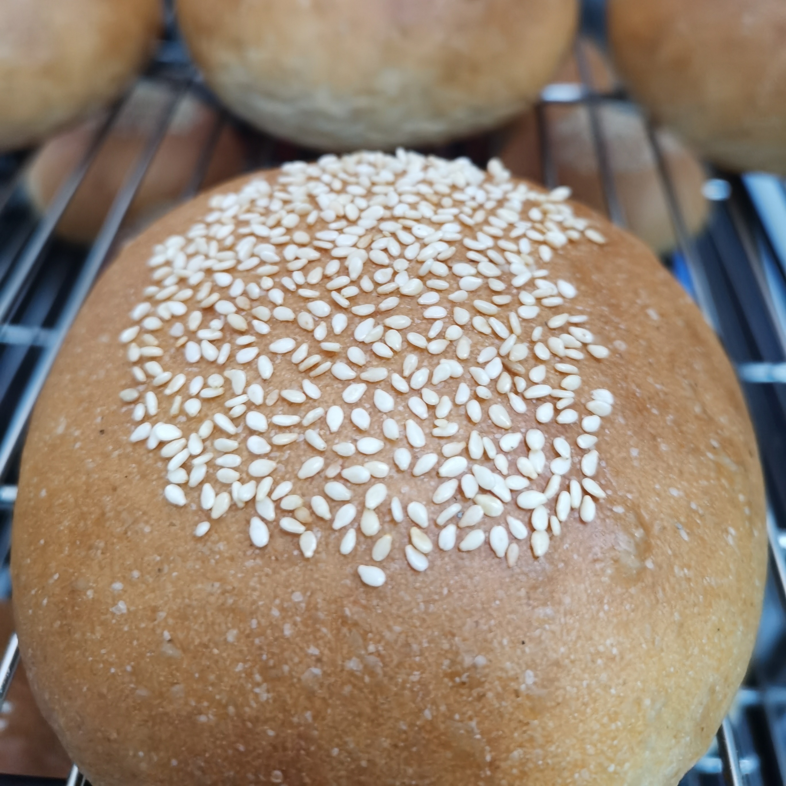 【面包房直送】生态原料手工素面包（掖青麦）