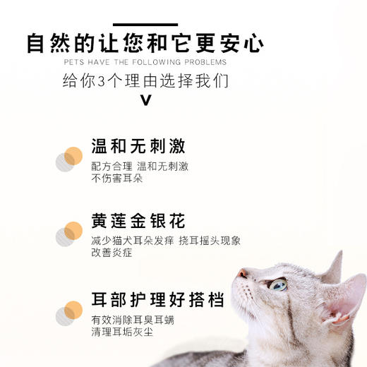 新宠之康伊耳康60ml狗狗猫咪抑菌滴耳液耳螨洗耳液 商品图2