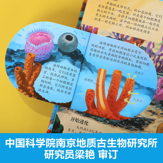 乐乐趣揭秘翻翻书系列第九辑-揭秘生命简史 商品图4