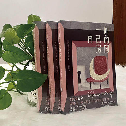 一间自己的房间  弗吉尼亚·伍尔夫（英） 商品图3