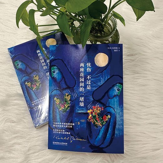 忧伤不过是两座花园间的一堵墙   纪伯伦 (黎巴嫩) 商品图2