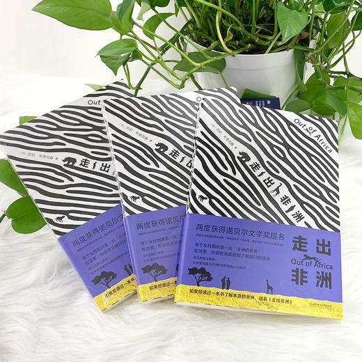 走出非洲 商品图4