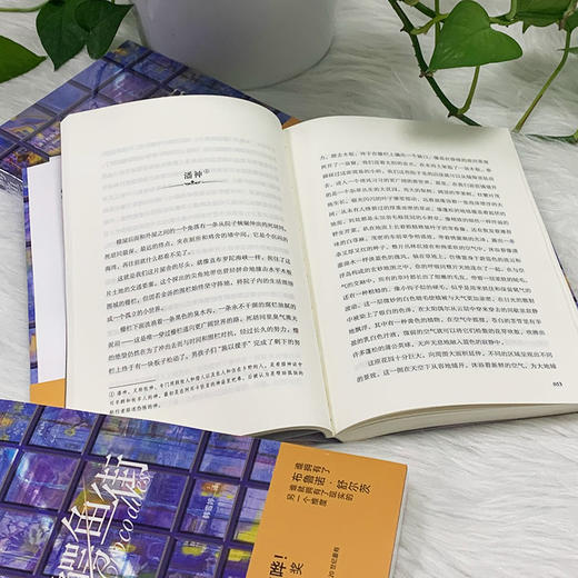 鳄鱼街    布鲁诺·舒尔茨著(波) 商品图4