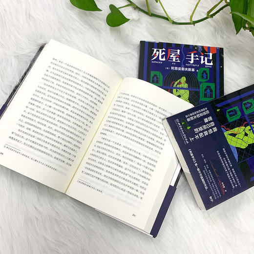 死屋手记    陀思妥耶夫斯基(俄罗斯) 商品图5