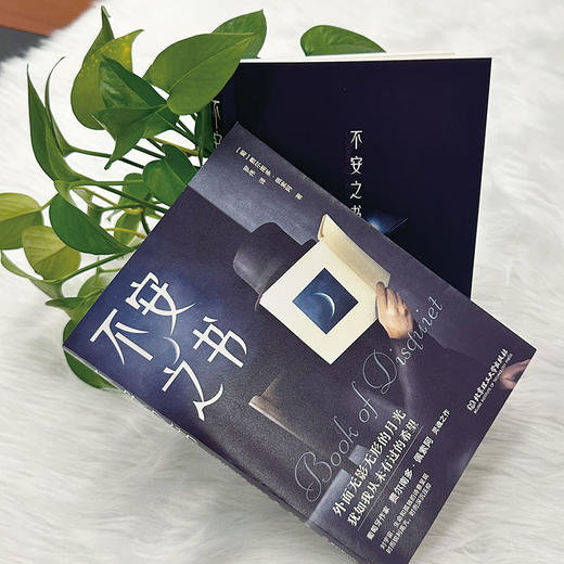 不安之书    费尔南多·佩索阿 （葡） 商品图2