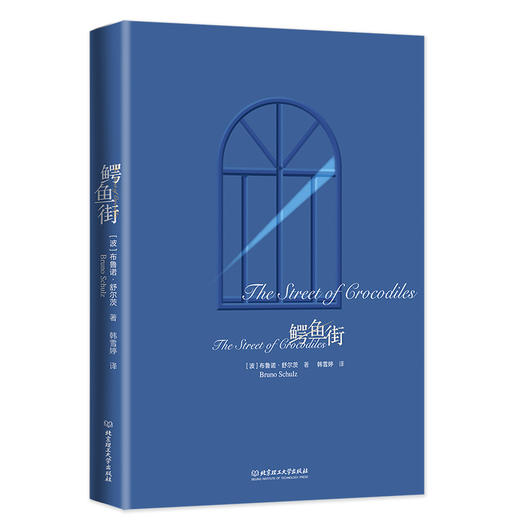 鳄鱼街    布鲁诺·舒尔茨著(波) 商品图1