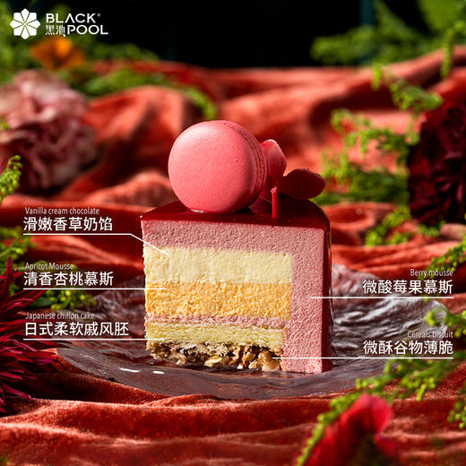 （预约验券专用）芳华·香草杏桃莓果慕斯（红）-验券不成功不发货，选择款式，备注平台+券码，下单支付0.01元即可 商品图3