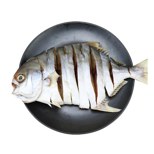 广东阳江 永昊 一夜埕金鲳鱼串干 8条 商品图3