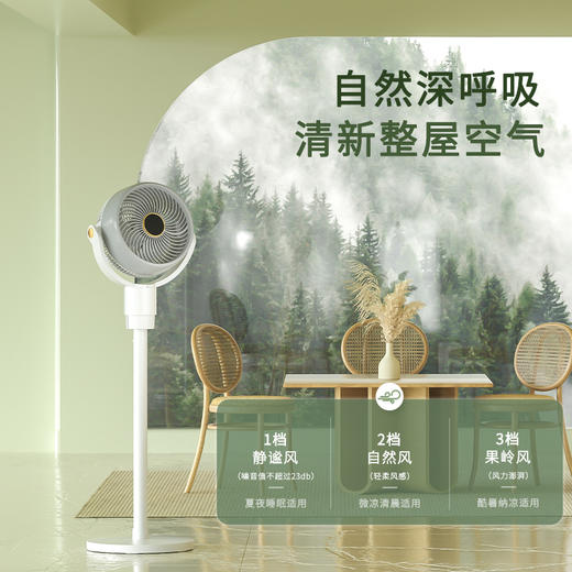 大宇台立地多用智能空气循环扇XF09 商品图2