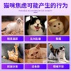 【正品授权】费利威猫咪经典快乐标记信息素喷雾剂减少应激缓解情绪20ml/瓶 商品缩略图3
