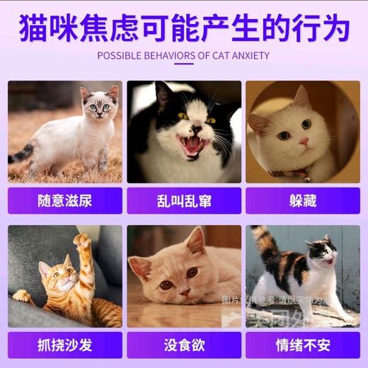 【正品授权】费利威猫咪经典快乐标记信息素喷雾剂减少应激缓解情绪20ml/瓶 商品图3