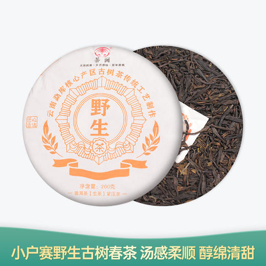 【会员日直播】野生茶 2023年普洱生茶 200g/饼 买一送一 买二送三 商品图0