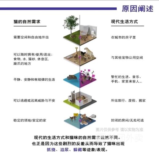 【正品授权】费利威猫咪经典快乐标记信息素喷雾剂减少应激缓解情绪20ml/瓶 商品图1