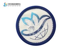 通版深圳市龙岗区兴文建文学校织唛校徽服布标姓名贴章缝烫51