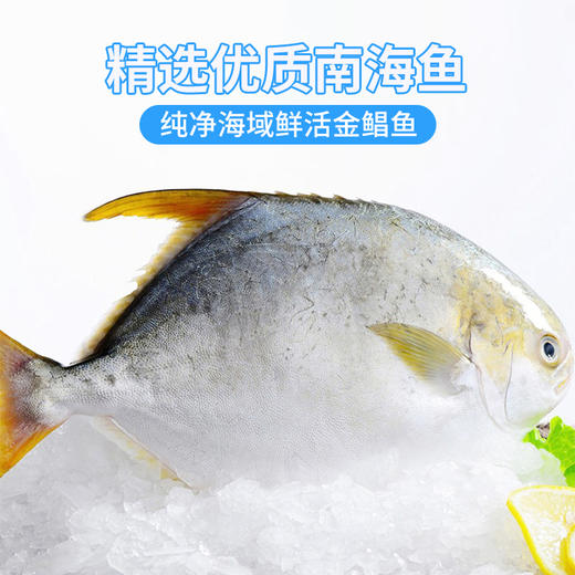 广东阳江 永昊 一夜埕金鲳鱼串干 8条 商品图1