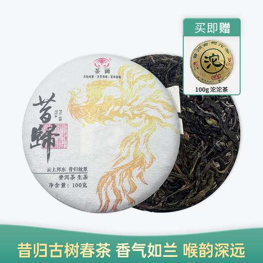 【会员日直播】昔归 2023年普洱生茶 100g/饼 买就送2016年昔归沱茶 商品图0
